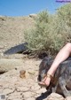 A woman sitting on top of a tire in the desert.